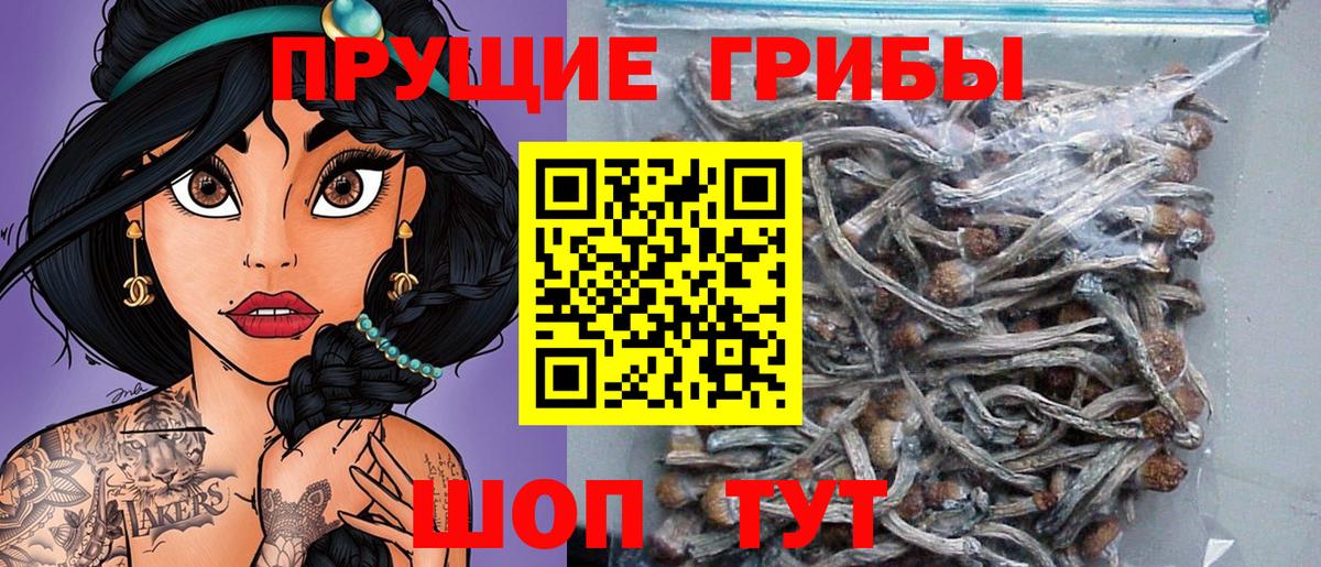 Галлюциногенные грибы MAGIC MUSHROOMS Павловский Посад